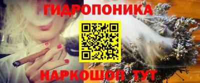 твердый Краснознаменск